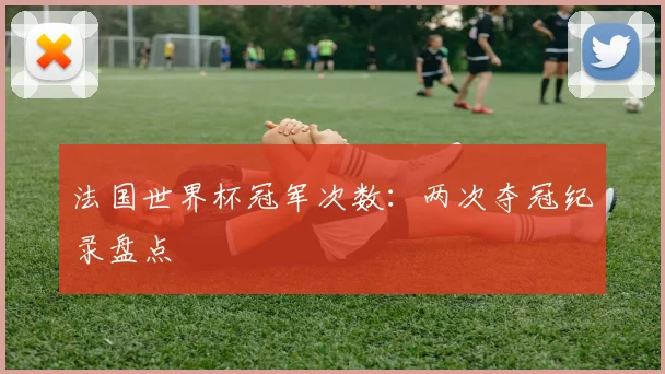 法国世界杯冠军次数:两次夺冠纪录盘点