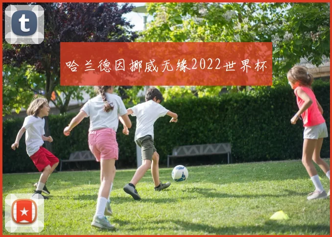 哈兰德因挪威无缘2022世界杯