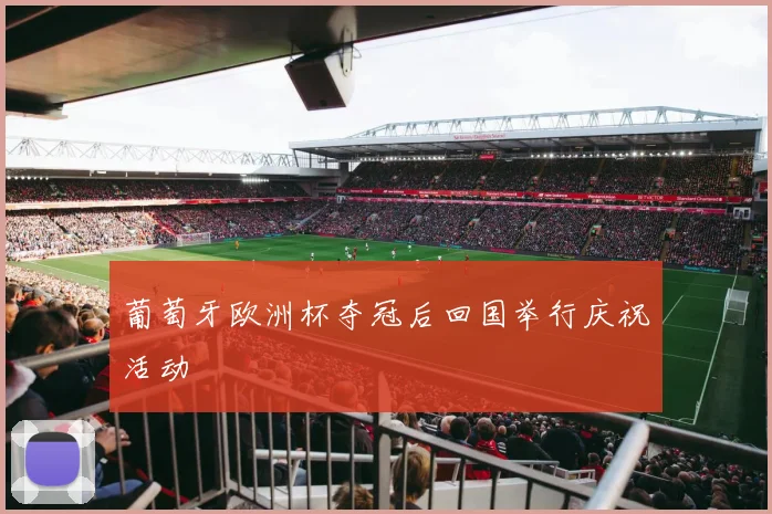 葡萄牙欧洲杯夺冠后回国举行庆祝活动